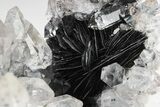 Quartz Crystals On Sparkling Bladed Hematite - Lechang Mine #226000-5